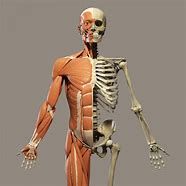 Skeleton in Your Closet